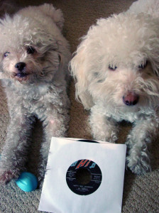 doggies + Al Green