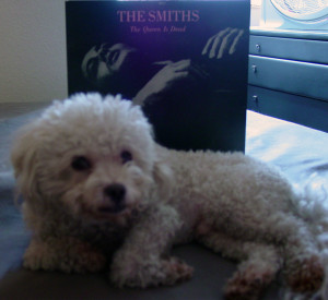 Ringo + The Smiths 003