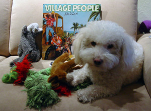 Winston + Village People
